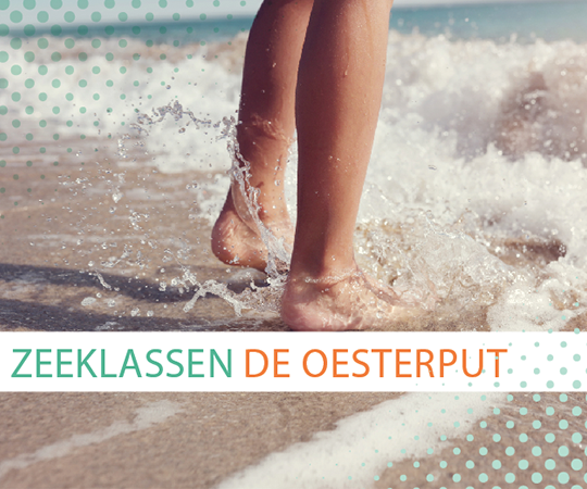 Folder zeeklassen De Oesterput